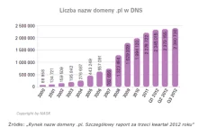Wiemy ile jest domen z końcówką .pl