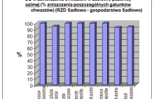 Najlepsze rozwiązania w zwalczaniu chwastów w zbożach