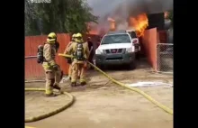 Mężczyzna wpada do płonącego domu, aby uratować swojego psa