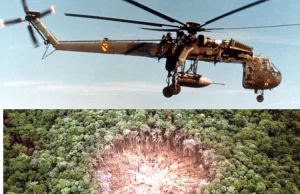 Kosiarz Stokrotek - bomba do wycinania dżungli