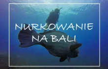 INDONEZJA: Nurkowanie na Bali - co wiózł wrak Liberty?