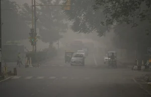 Rekordowy smog dusi Delhi. Licznikom zanieczyszczeń zabrakło cyfr...