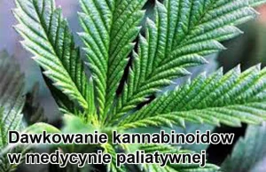 Dawkowanie kannabinoidów w medycynie paliatywnej