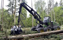 Kolejna blokada sprzętu do usuwania drzew w Puszczy Białowieskiej