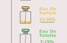 Różne typy perfum (Infografika)