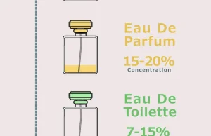 Różne typy perfum (Infografika)