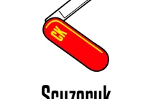 Bezpieczeństwo na przejściach dla pieszych w Kielcach