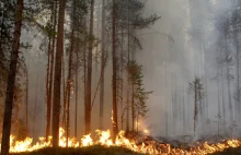 Szwedzi zachwyceni polskimi strażakami. "Dziękujemy!"