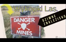 Nic nie zapowiadało tragedii.Mina przeciwpiechotna? Wykopki las. Garrett 400i. 2