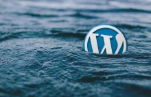 Must have wtyczek do WordPress'a