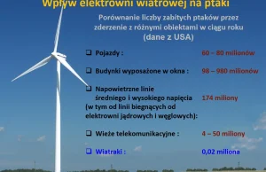 Energia wiatrowa - najczęstsze mity - poznaj odpowiedzi