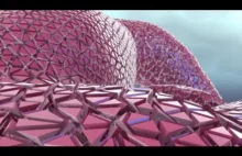 Zaawansowana komputerowa animacja ukazująca wnętrze serca. Dosyć prosty [ENG]