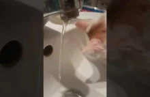 Cat Drinks Water - SlowMo