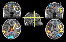 Sztuczna inteligencja prawidłowo odgadła IQ i nie tylko - HUMAN_2.0