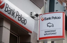 Pekao wchłonie Alior Bank?