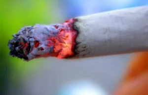 Przez dym papierosowy bakterie stają się bardziej agresywne