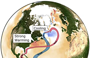 Golfsztrom gwałtownie słabnie, a od niego zależy klimat Europy