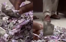 W Indiach mysz rozwaliła bankomat i pogryzła równowartość 62 000 zł