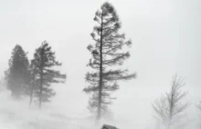 W niedzielę możliwe opady śniegu, w Tatrach nawet intensywne