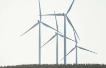 Niemiecka firma inwestuje w projekt wiatrowy w Polsce