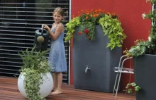 Deszczówka: jej odzysk i zagospodarowanie w ogrodzie (zdjęcia)