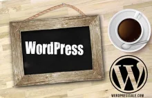 Zalety, które oferuje wtyczka WordPress