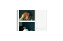 Kolejny sposób na zabawę chatroulette