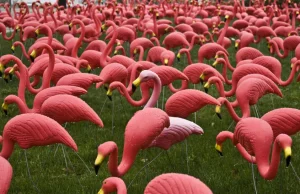 Dał światu plastikowe różowe flamingi. Donald Featherstone nie żyje