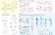 Jak narysować ludzkie ciało?