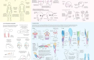 Jak narysować ludzkie ciało?
