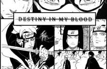 Destiny in my blood - 6. Więzi