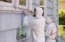 Jak usunąć farbę olejną ze ściany? Sprawdzone metody i preparaty