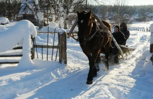 Królestwo śniegu i lodu