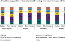 Gdzie pracują i ile zarabiają polscy emigranci? Oto dane NBP