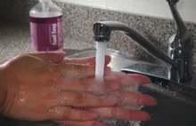Amerykańscy naukowcy ostrzegają przed mydłami antybakteryjnymi [EN]
