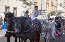 Żądają całkowitego zakazu pracy koni w upały w centrum Krakowa