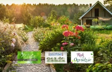 Piękne ogrody w TV, Youtube, online - lista 30 programów o ogrodach