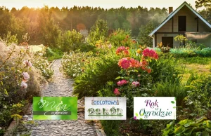 Piękne ogrody w TV, Youtube, online - lista 30 programów o ogrodach