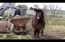 Cegielnia Bojanice - po dziś dzień korzystająca z pomocy konia