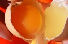 Nie wyrzucaj skorupek jajek!  | KobietaXL.pl