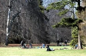 Wrocław to nie Japonia. Tu piknikować w parkach nie wolno