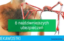 6 najdziwniejszych ubezpieczeń