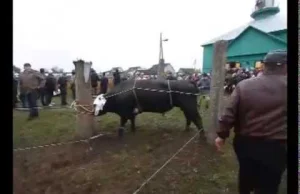 Tak wygląda Kurban Bajram na Białorusi