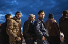 Bruksela proponuje stworzenie „agencji federalnej" przyznającej azyl