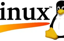 Linux – mentalność Kowalskich, powodem niskich udziałów