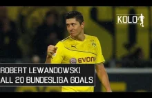 Wszystkie 20 bramek Roberta Lewandowskiego w Bundeslidze w sezonie 2013/2014