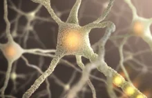 Naukowcy wykorzystali laser do tworzenia połączeń między neuronami