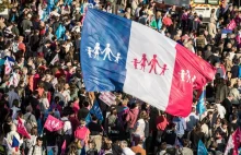 Dzieci potrzebują matki i ojca. Manifestacja przeciw małżeństwom...