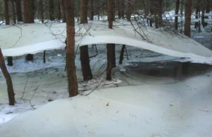 Lód "lewitował" nad powierzchnią jeziora. Przykleił się do drzew