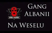 Popek i Gang Albanii na weselu! 9.04.2016